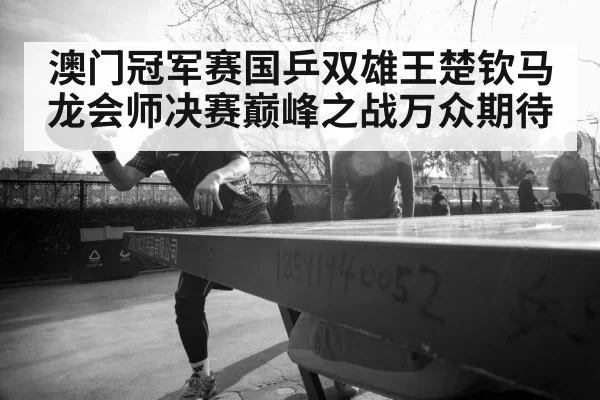 Ma Long table tennis